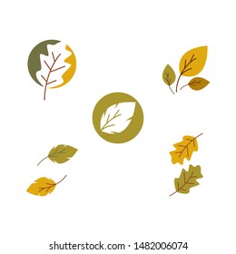 oak leaf logo vector design template