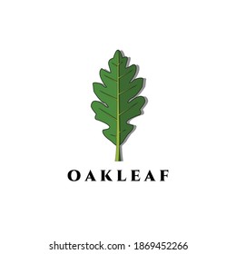 Oak leaf logo vector, illustration, design