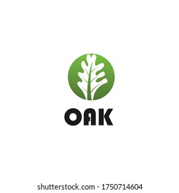 Oak leaf modern logo with circle design