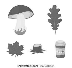 Oak leaf, mushroom, stump, maple leaf.Forest set collection icons in monochrome style vector symbol stock illustration web.