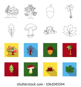 Oak leaf, mushroom, stump, maple leaf.Forest set collection icons in outline,flet style vector symbol stock illustration web.