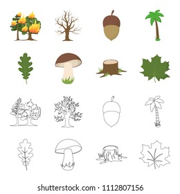 Oak leaf, mushroom, stump, maple leaf.Forest set collection icons in cartoon,outline style vector symbol stock illustration web.