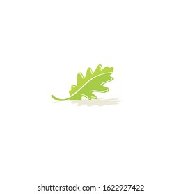 Oak leaf nature vector icon