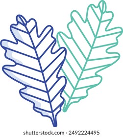 Oak Leaf outline color vector illustration