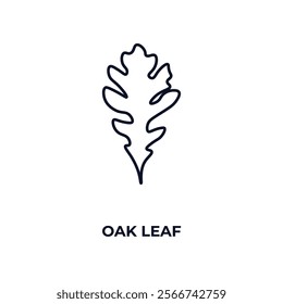 oak leaf outline icon. Linear vector from nature concept. Thin line oak leaf icon isolated on white background