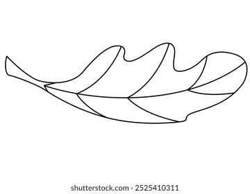 Oak leaf part of plant - vector linear picture for coloring. Outline. Oak leaf, plant for sign or logo