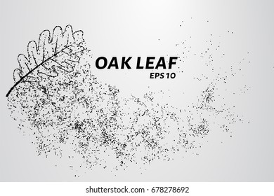 The oak leaf of the particles. The oak leaf is composed of circles and dots. Vector illustration