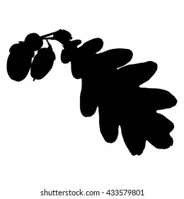 oak leaf silhouette on white background