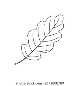 Folha de carvalho simples esboço desenhado à mão doodle ilustração vetorial, imagem botânica floral minimalista para projetos ambientais, conceito de natureza, página de coloração, scrapbooking, esboço de arte de linha