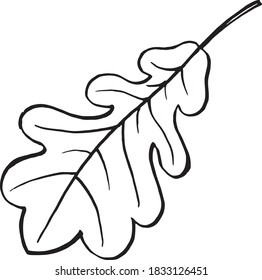 oak leaf sketch, line art, hand draw illustration, black and white