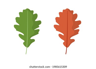 Oak leaf. Spring green and autumn orange. Isolated vector illustration on white background