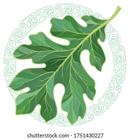 Oak leaf in summer coloring and Celtic magic ornament, isolated on white, vector illustration