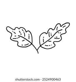 Oak leaf, oak tree. Autumn season. Doodle. Vector illustration. Hand drawn. Outline.