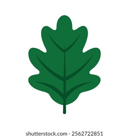 oak leaf vector art on white background