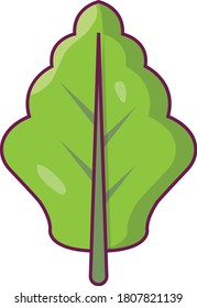oak leaf vector flat color icon 