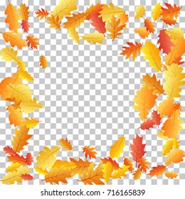 Oak leaf vector frame or border illustration with transparent background. Autumn foliage, seasonal image. Red, yellow, orange and brown dry oak tree leaves background pattern.