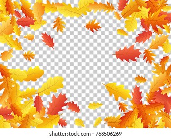 Oak leaf vector frame or border illustration with transparent background. Autumn foliage, seasonal image. Red, yellow, orange and brown dry oak tree leaves background border pattern.