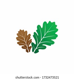 oak leaf vector, green leaf vector