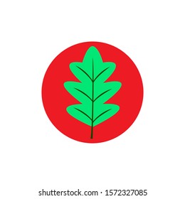 Oak Leaf Vector Icon in Flat Style For Web