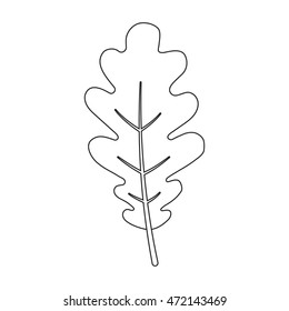 Oak Leaf vector icon in line style for web