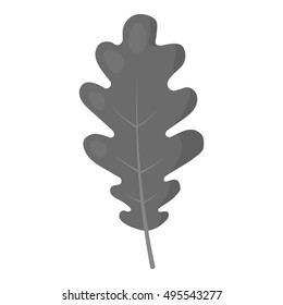 Oak Leaf vector icon in monochrome style for web