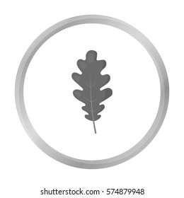 Oak Leaf vector icon in monochrome style for web