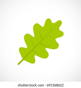 Oak leaf vector icon on white background