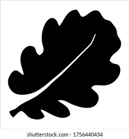 Oak leaf vector icon.Black vector icon isolated on white background oak leaf.
