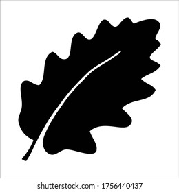 Oak leaf vector icon.Black vector icon isolated on white background oak leaf.