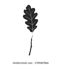 Oak leaf vector icon.Black vector icoon isolated on white background oak leaf.