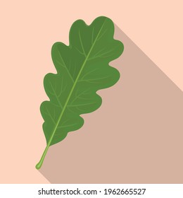 Oak leaf vector icon.Flat vector icoon isolated on white background oak leaf.