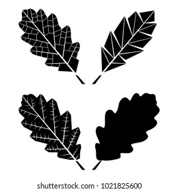 Oak leaf. Vector illustration.