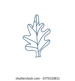 oak leaf. Vector illustration in doodle style. blue line.
