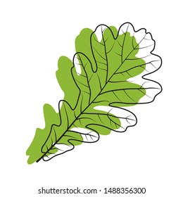 Oak leaf vector illustration on white background