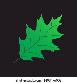 oak leaf vector isolated on black baground