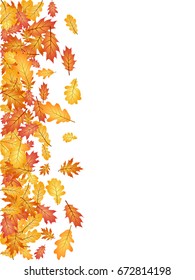 Oak leaf vector left side border illustration with white background. Autumn foliage, seasonal image. Red, yellow, orange and brown dry oak tree leaves background pattern. 