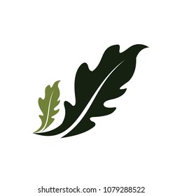 Oak leaf vector logo isolated. Logo templates.