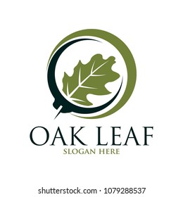 Oak leaf vector logo isolated. Logo templates.