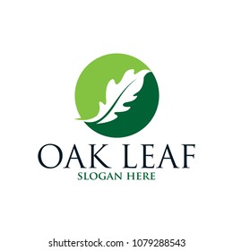 Oak leaf vector logo isolated. Logo templates.