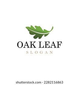 OAK-Blatt-Vektorlogo, einzelne Logo-Vorlage	