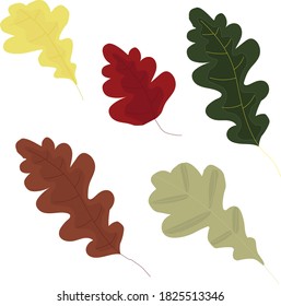 Oak leaf. Vector stock illustration set of oak leaves in cartoon style on a white background.