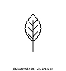 Oak leaf with veins icon in liner stroke style