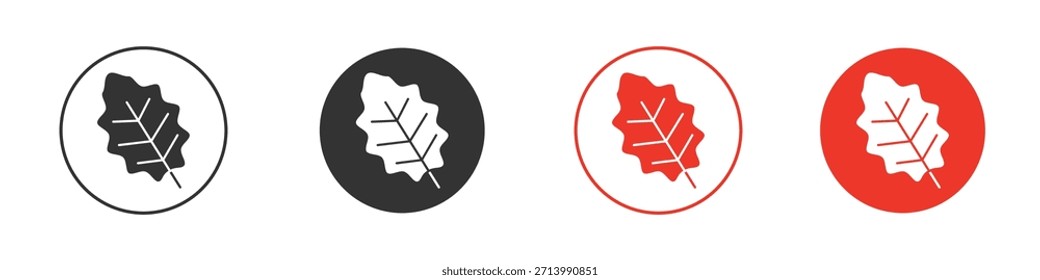 Oak leaf with veins icon. web vector design