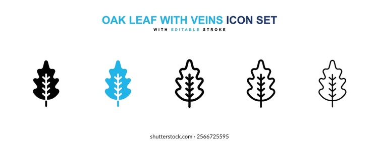 Oak leaf with veins icons vector collection pack.