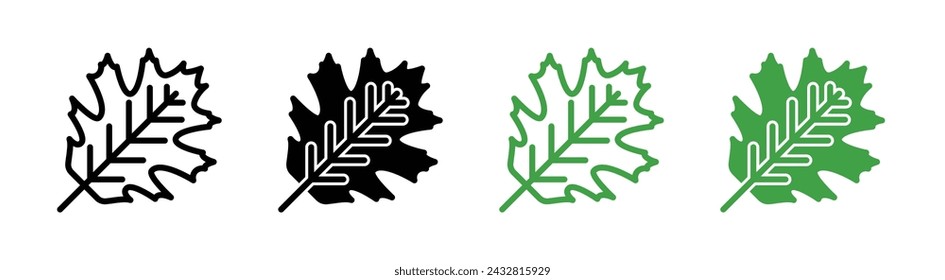 Oak Leaf with Veins Vector Illustration Set. Nature's Patterns Sign suitable for apps and websites UI design style.