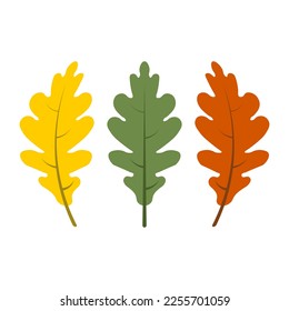 Oak leafes autumn colours vector art illustration
