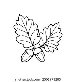 oak leave and acorn line art vector illustration