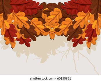 Oak leaves