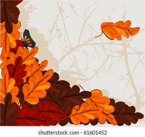 Oak leaves