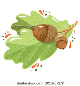 hojas de roble con bellotas, ilustración de otoño, clipart vectorial, dibujo botánico bueno para el diseño de tarjetas e impresos